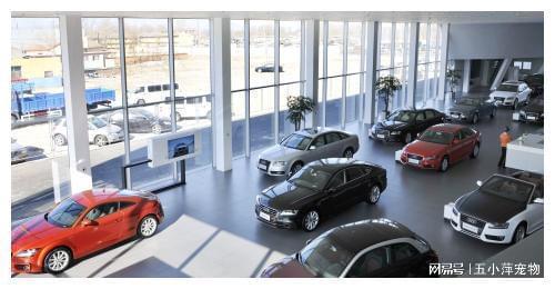 8200萬汽車消費券成功發放，汽車銷售行業或迎新爆發